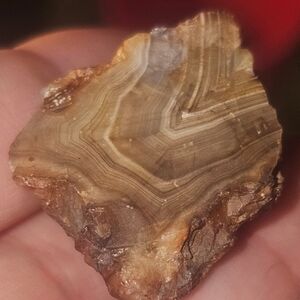 Uncut Banded Agate Stone Rough